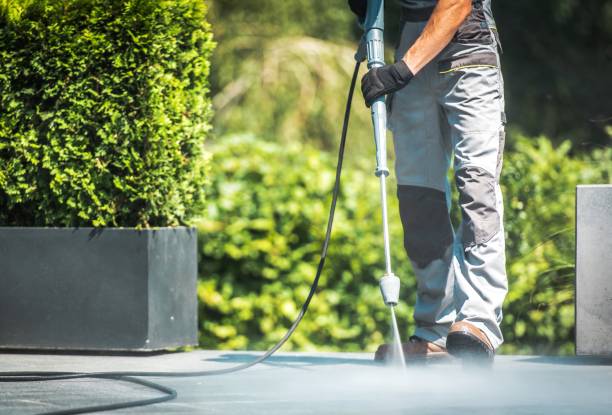 Best Brick and Stone Cleaning in Grapeland, TX