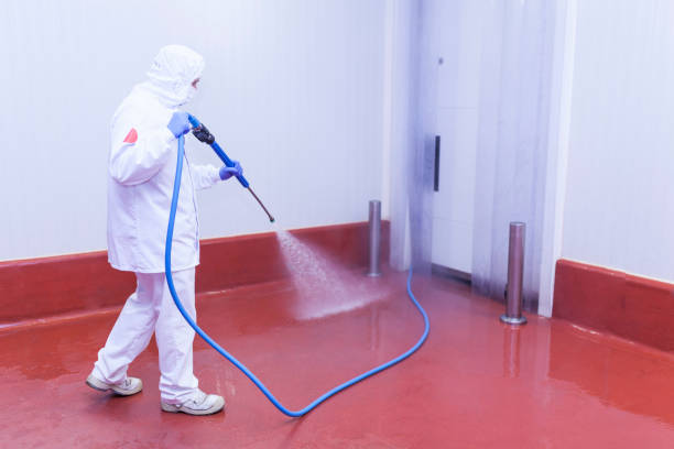 Best Rust and Stain Removal in Grapeland, TX